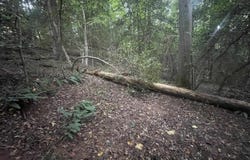 183 Walhalla Highway, Pickens, SC 29685-0000