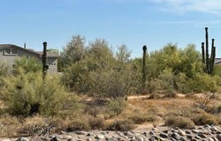 5536 E WOODSTOCK Road, Cave Creek, AZ 85331