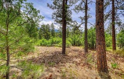 350 harman Avenue, Pagosa Springs, CO 81147