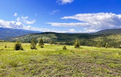 39 MOONLIGHT DR, CURLEW, WA 99118