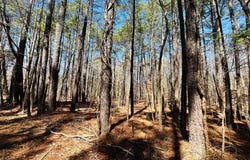 52-a Hunt Club Trail, Hertford, NC 27944