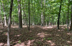 TRACT 1A CHALCREST Way, Cave Spring, GA 30124