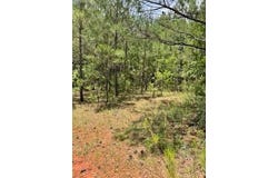 0 Conecuh St, Greenville, AL 36037