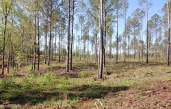 000 Watson Road East TRACT 11, Forsyth, GA 31029