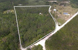 101 320th Ave, Steinhatchee, FL 32359
