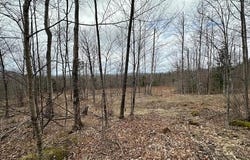 33 Bay View Drive, Greenville, ME 04441