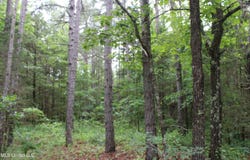 600 Jessie'S Road, Michigan City, MS 38647