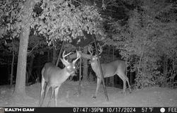 335 Highway 26, Elko, GA 31025