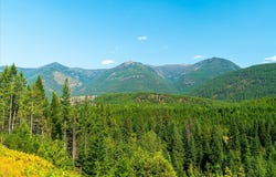 439 Dasios Road, Troy, MT 59935