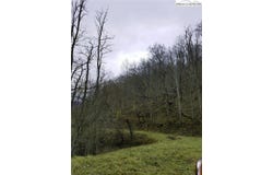 # 12 Yasmine Lane Lane, Vilas, NC 28692