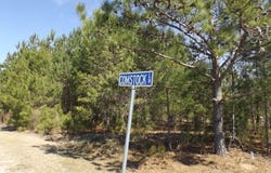 Comstock & White Oak Lots 19,20,21 Drive, Manning, SC 29102