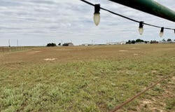3401 E Regis Street, Lubbock, TX 79403
