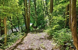 618 Dark Ridge Road, Sylva, NC 28779