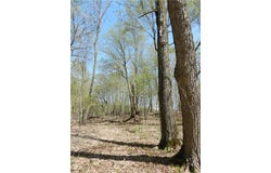 2816 120th Avenue, Two Rivers Twp, MN 56314