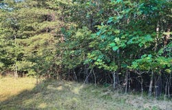 Cross Creek Drive unit: 70, Rutherfordton, NC 28139