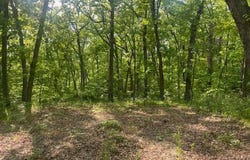 2-44 Wild Turkey Lane, Moravia, IA 52571