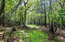 Tbd Floyd Pike, Hillsville, VA 24343