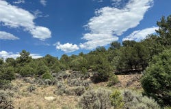 Lot 34 Unit 4 Talavera SD, Tierra Amarilla, NM 87575