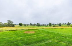 614 S Y Street, Indianola, IA 50125