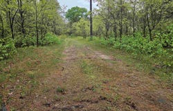 1117 14th Court, Arkdale, WI 54613