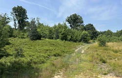 TBD Meredith Grade, Harrison, MI 48625