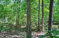 20 +/- Acres Fire Tower Rd., Unincorporated, MO 63383