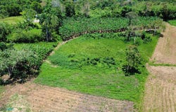 Robles, San SebastiÃ¡n, PR 00685