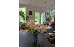 1446 Lakeshore Road Road, Essex, NY 12936
