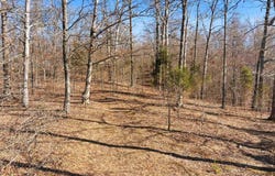 6346 Little Hickory Road, Philpot, KY 42366