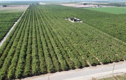 5601 E Clarkson Avenue, Selma, CA 93662