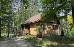 12480 Lone Wolf Trail, Canadian Lakes, MI 49346