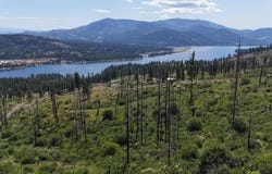 131XX HWY 20 E HWY, KETTLE FALLS, WA 99141