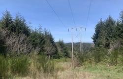 ELROD Ave, CoosBay, OR 97420