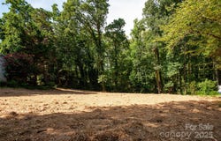 137 Meadowbrook Lane unit: 4, Davidson, NC 28036