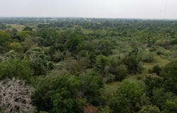 Private Road 4601 lot: 2, Waelder, TX 78959