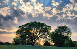 11148 Missouri 142, Naylor, MO 63953
