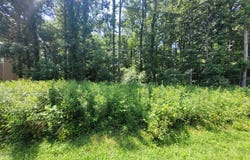 Lot 40 GROVE DR, MONTROSS, VA 22520