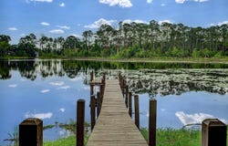 216 LAKE COMO DRIVE, POMONA PARK, FL 32181