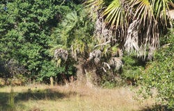 COMMERCIAL Circle, Keystone Heights, FL 32656