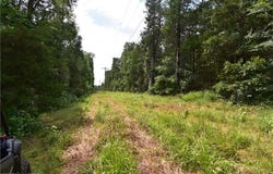 TBD Wildcat Mountain  RD, Magazine, AR 72943