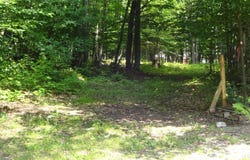TBD Autrain Forest Lake, Au Train, MI 49806