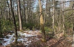 Lot 18 Walden Lane, West Jefferson, NC 28694