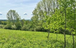 Sisson Hill Rd, Unadilla, NY 13849