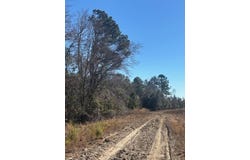 Starfish Lane, Lyons, GA 30436