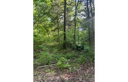 Lot 3 Timberline Drive, Hillsboro, MO 63050