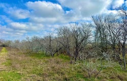1118 County Road 447, Waelder, TX 78959