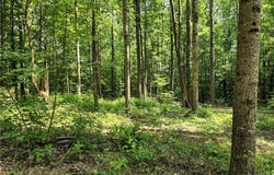 5 Lots Rome St. & Driver St., Temple, GA 30179