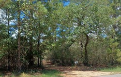 172 Pine Canyon DR, Smithville, TX 78957