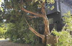 2638 Warring St, Berkeley, CA 94704