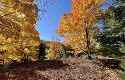Lot 1 Dockery Road, Williamsburg, MI 49690